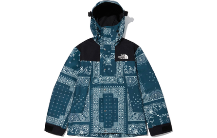THE NORTH FACE Novelty Gtx Paisley Mountain Jacket