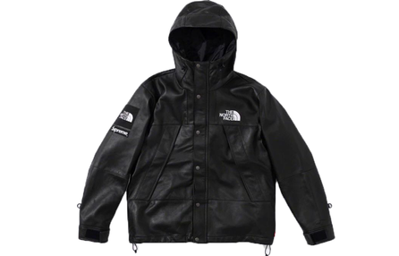Supreme The North Face Leather Mountain Parka