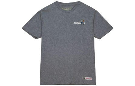 Mitchell Ness T-Shirts Men Gray