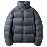 SNOW FLYING Zipper Outdoor Warm Series Stand Collar Short Puffer Jacket Casual High Fill Power Commute Versatile Loose Down Jacket Men's серый