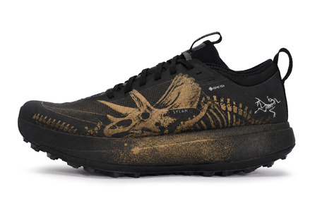[Custom Sneakers] Arcteryx SYLAN 811 Made Golden Horn Wilderness Retro Hardcore Mountain Style Art Dark Trendy Secret Realm Functional Advanced Trail Running Shoes Men