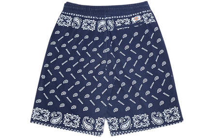 Dickies Casual Shorts Men Navy Blue