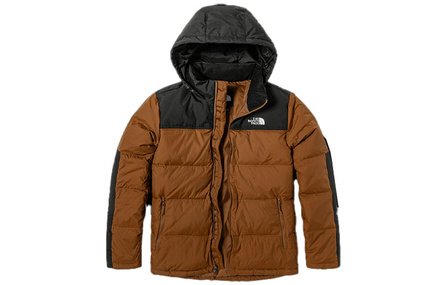 THE NORTH FACE City Outdoor Collection Down Jacket Winter Men's Brown