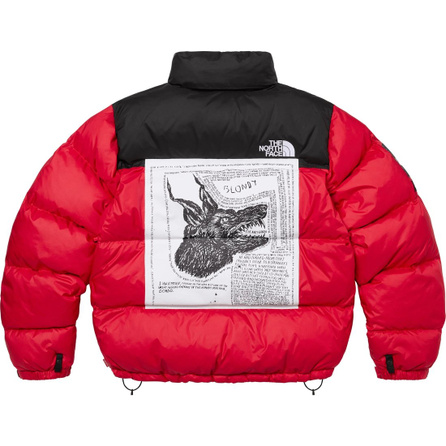 Supreme The North Face Collaboration Logo Print Pattern Loose American Trend Korean Style Stand Collar Down Jacket Unisex