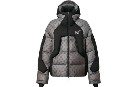 LOUIS VUITTON Down Jacket Winter Men's Gray
