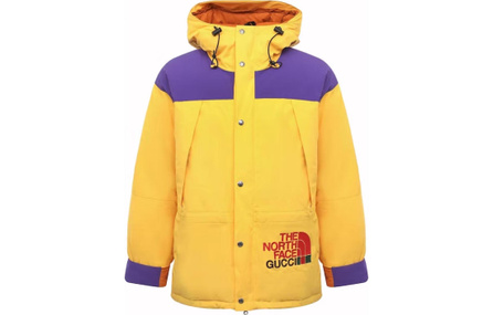 GUCCI x THE NORTH FACE Logo Print Zip-Up Long Sleeve Down Jacket Men's Yellow