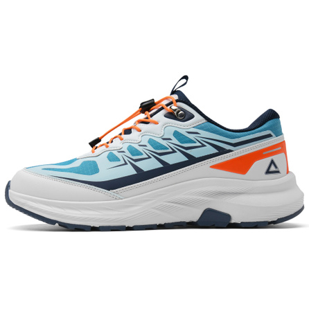 Peak Po Feng Xu Outdoor Casual Mesh Breathable Comfortable Versatile Cushioning Anti-Slip Functional Shoes Men's