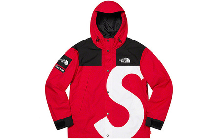 Supreme The North Face S Logo Mountain Jacket