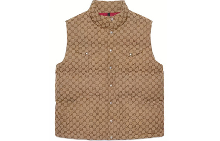 GUCCI X The North Face Down Vest