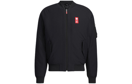 Adidas Neo Puffer Jackets Men Black