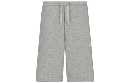 DIOR Quarterly New Products Casual Shorts Men Gray